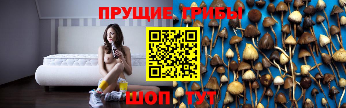 Псилоцибиновые грибы MAGIC MUSHROOMS Тихвин