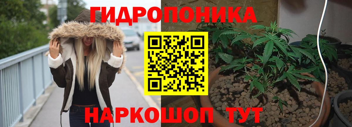 Тихвин  Каннабис тримм  Шишки марихуана VHQ  Вход с VPN  Канабис марихуана 